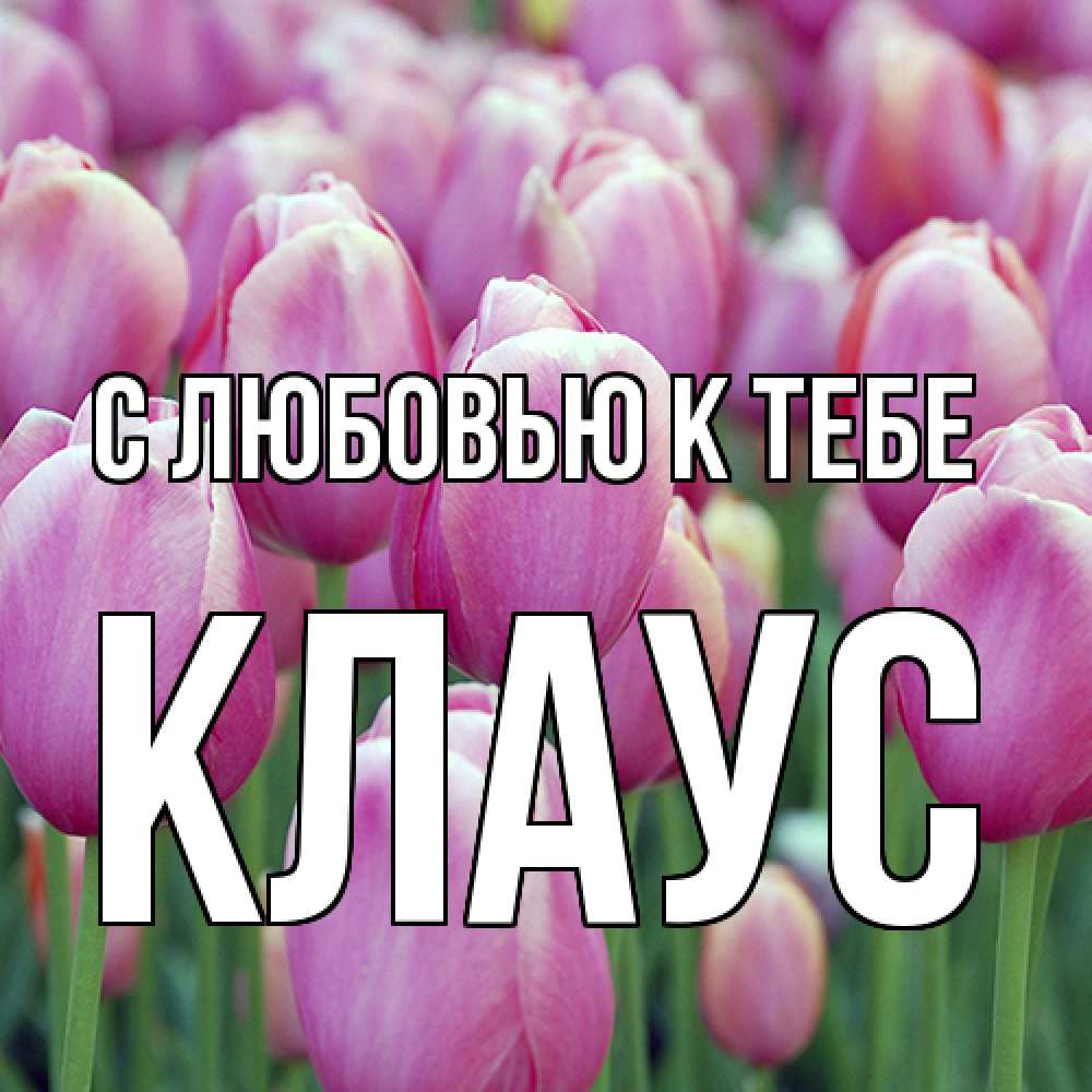 Открытка  с именем. Клаус, С любовью к тебе  
