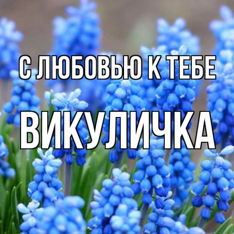 Картинка С любовью к тебе, Викуличка