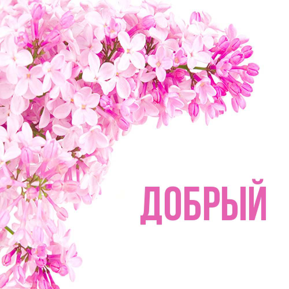 Открытка  с именем. Добрый, Главная  