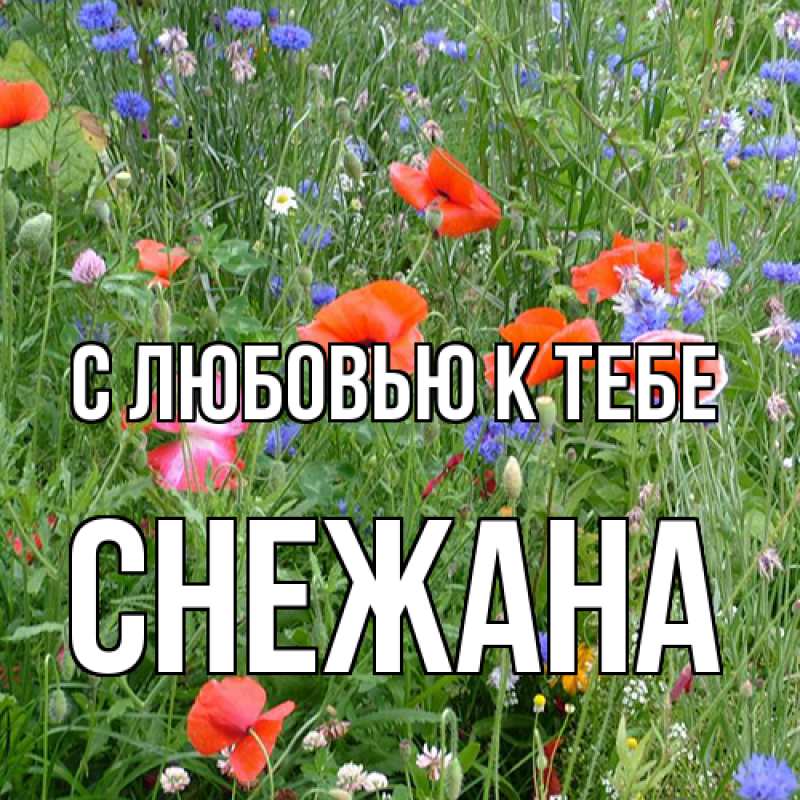 Картинка С любовью к тебе, Снежана