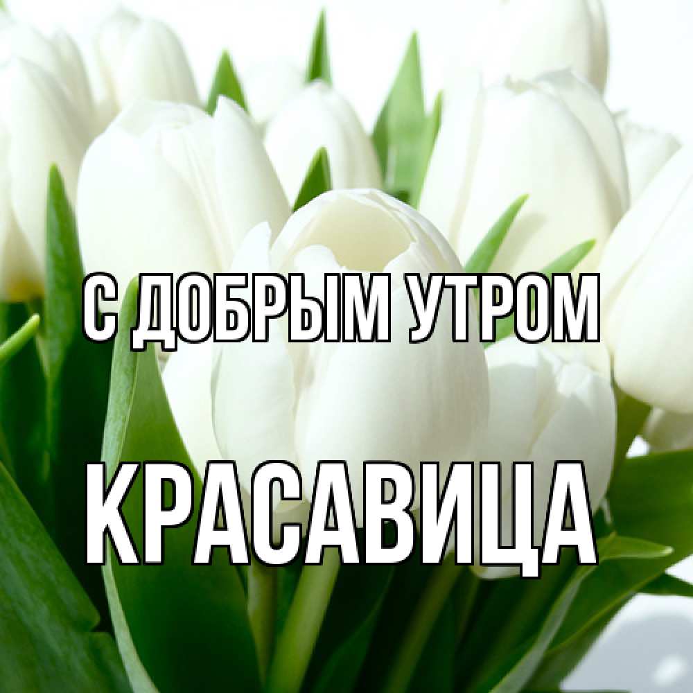 Открытка  с именем. Красавица, С добрым утром  