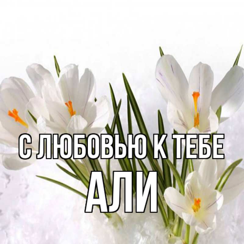 Картинка С любовью к тебе, Али