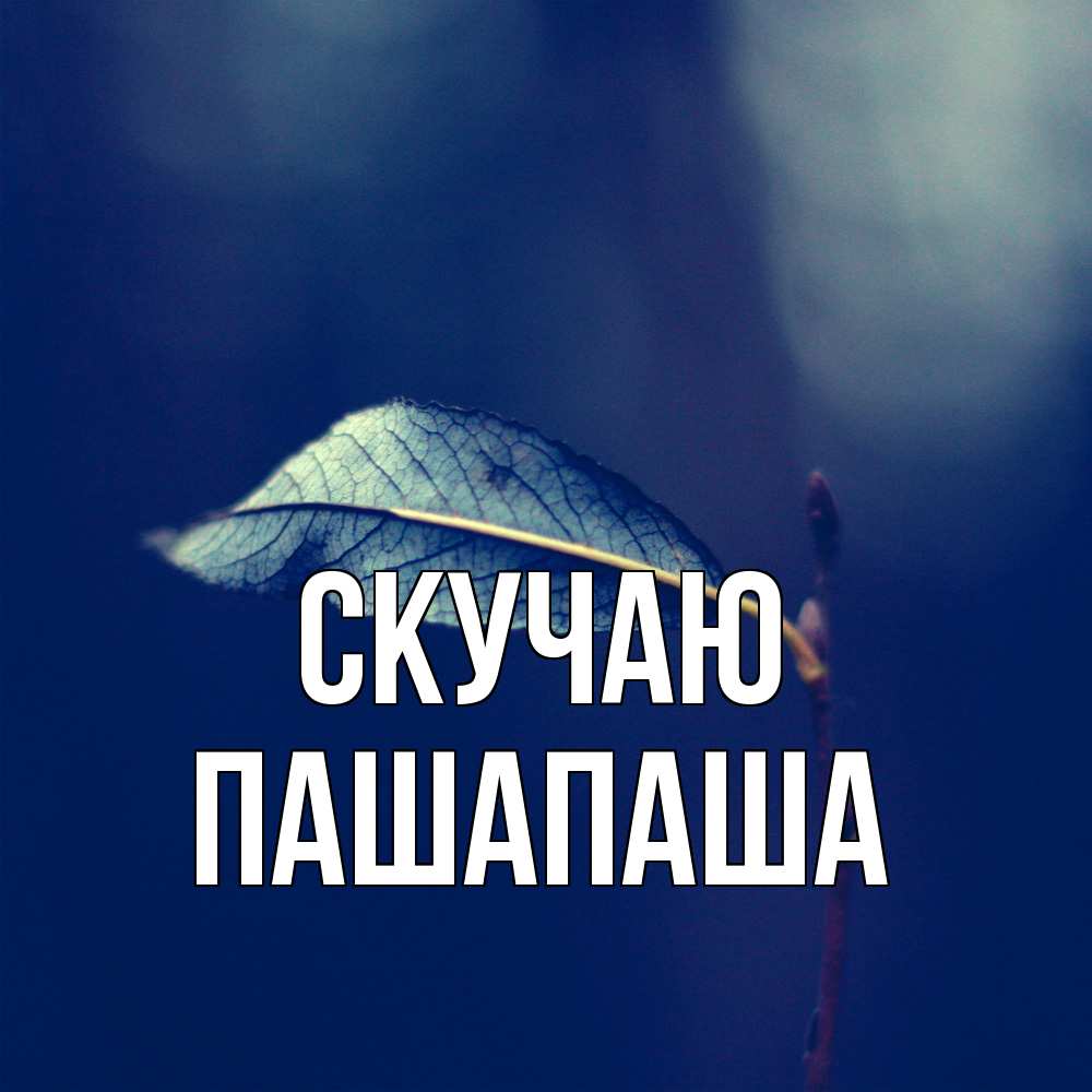 Открытка  с именем. Пашапаша, Скучаю  