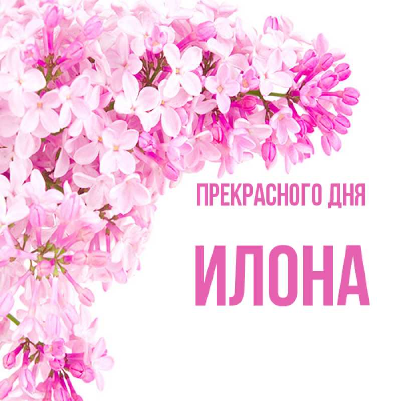 Картинка Прекрасного дня, Илона