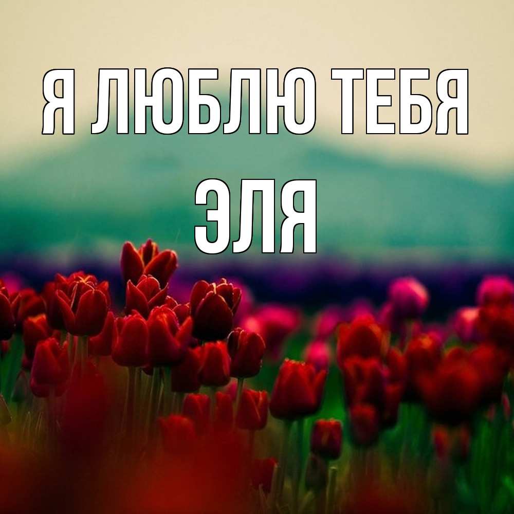Открытка  с именем. Эля, Я люблю тебя  