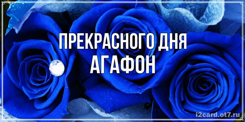 Картинка Прекрасного дня, Агафон