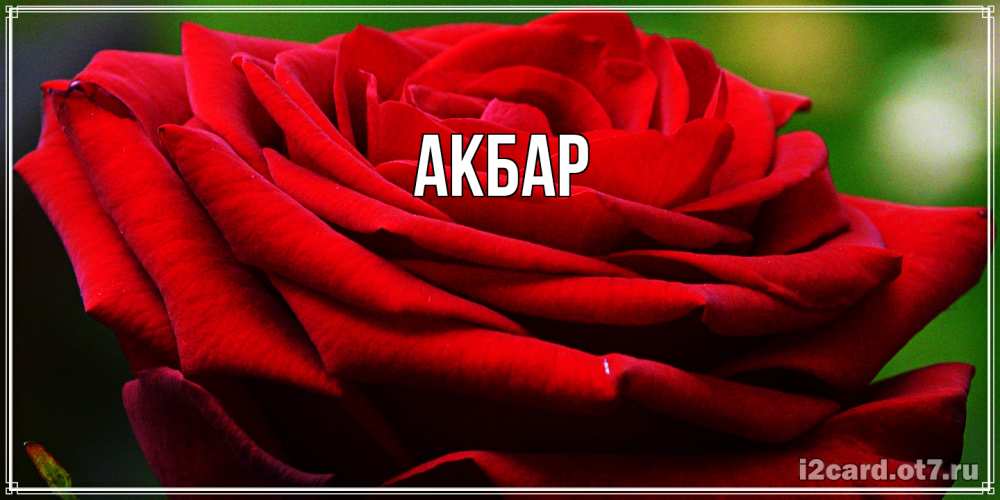 Открытка  с именем. Акбар, Главная  
