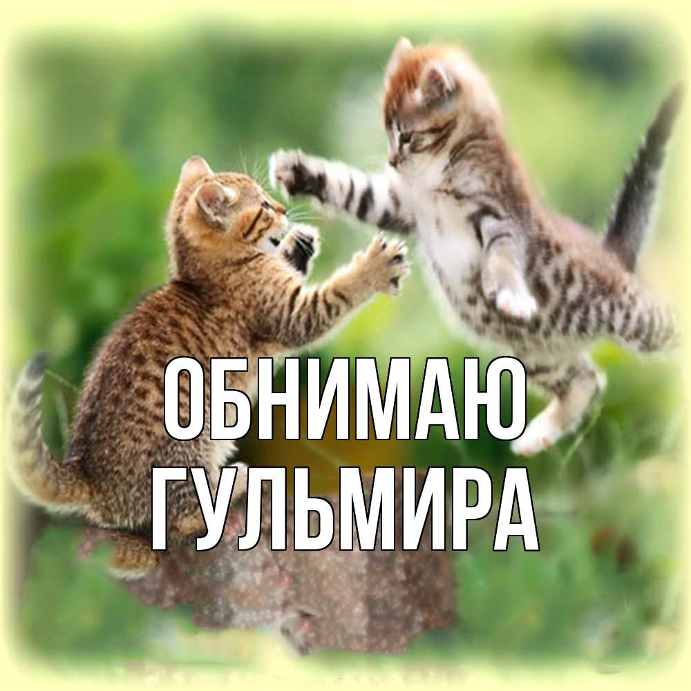 Открытка  с именем. Гульмира, Обнимаю  