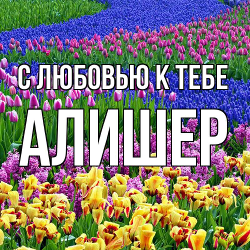 Картинка С любовью к тебе, Алишер