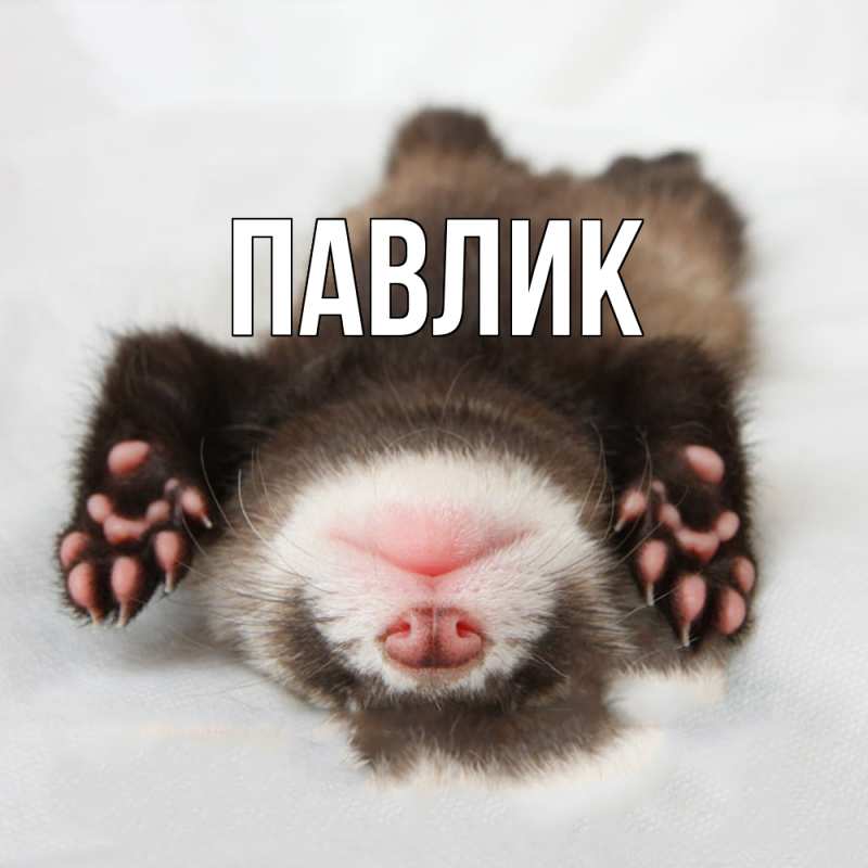 Картинка  с именем , Павлик