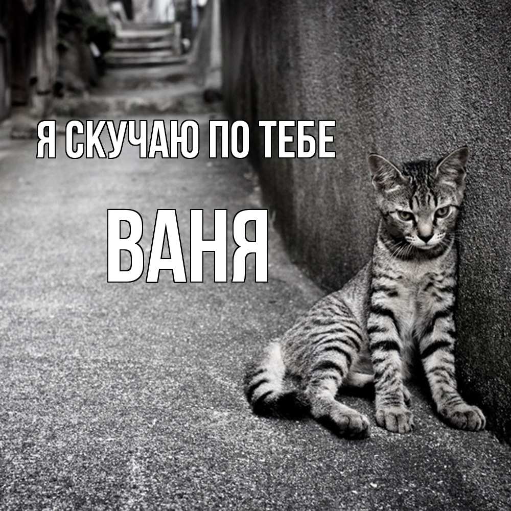 Открытка  с именем. Ваня, Я скучаю по тебе  