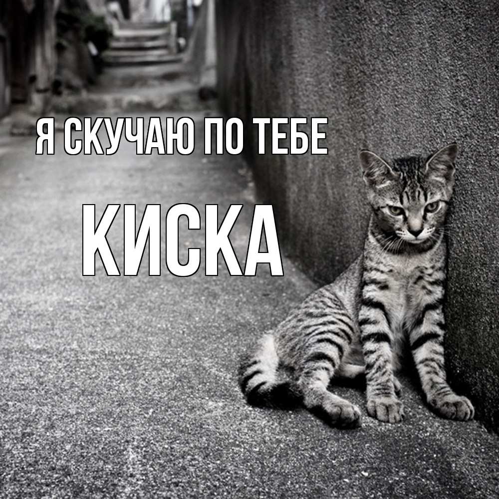 Открытка  с именем. Киска, Я скучаю по тебе  