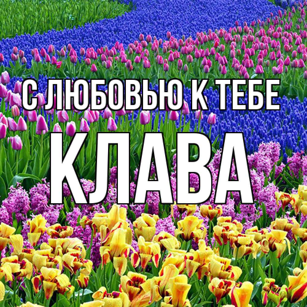 Открытка  с именем. Клава, С любовью к тебе  