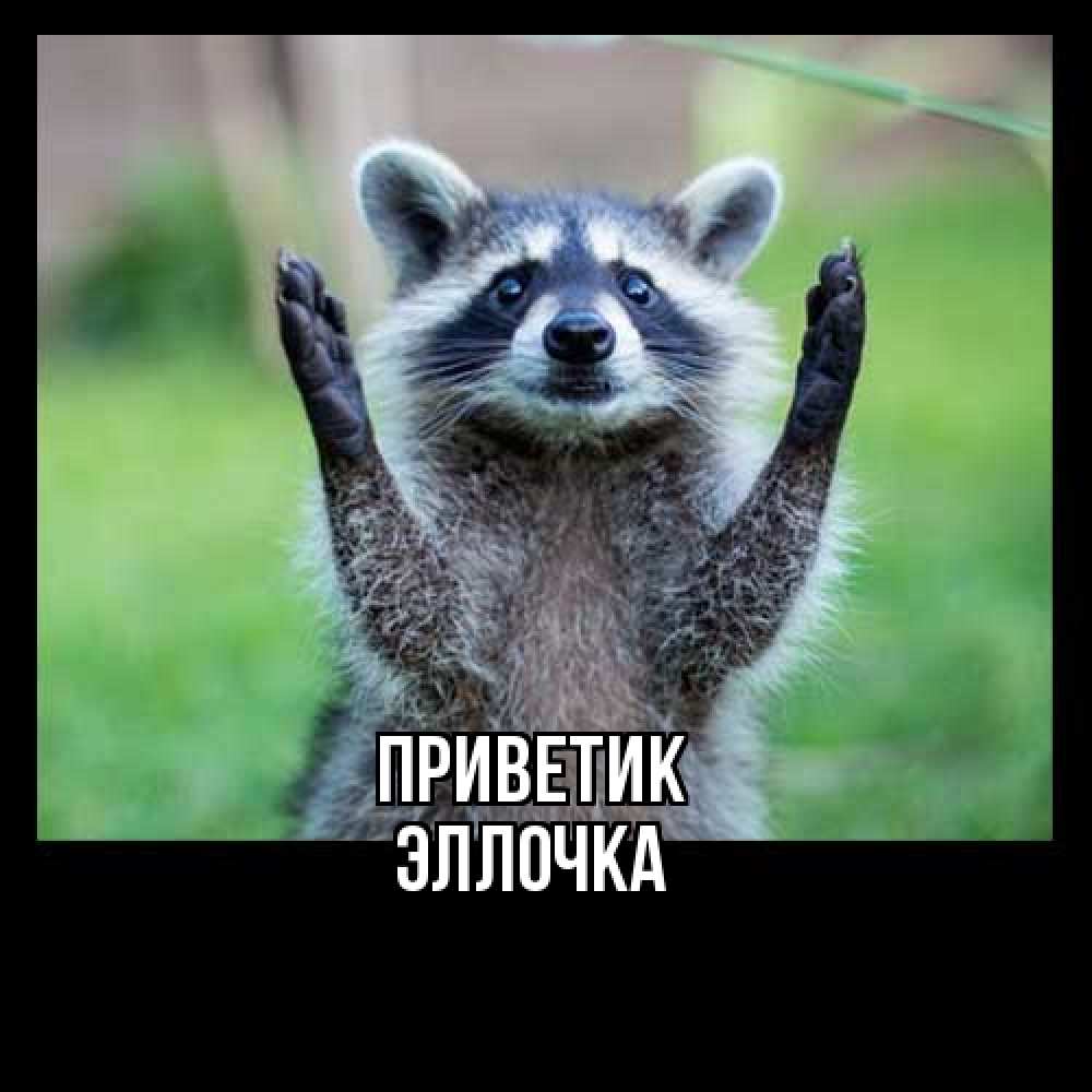 Открытка  с именем. Эллочка, приветик  