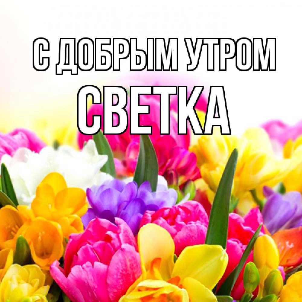 Открытка  с именем. Светка, С добрым утром  