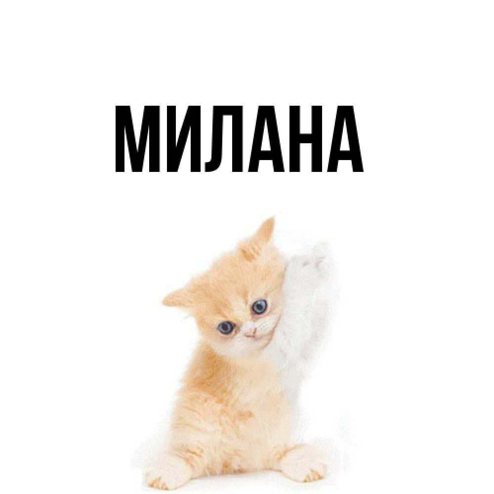 Открытка  с именем. Милана, Главная  