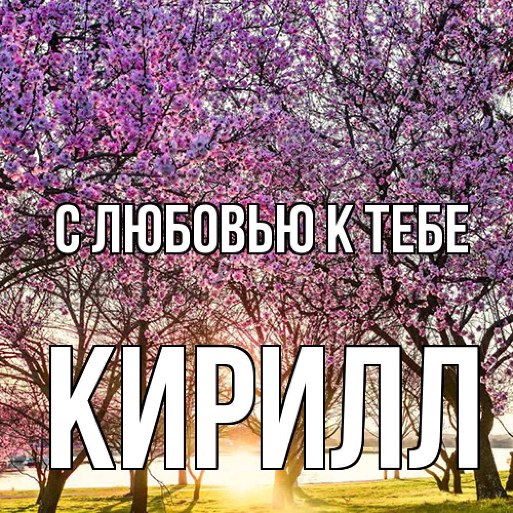 Открытка  с именем. Кирилл, С любовью к тебе  