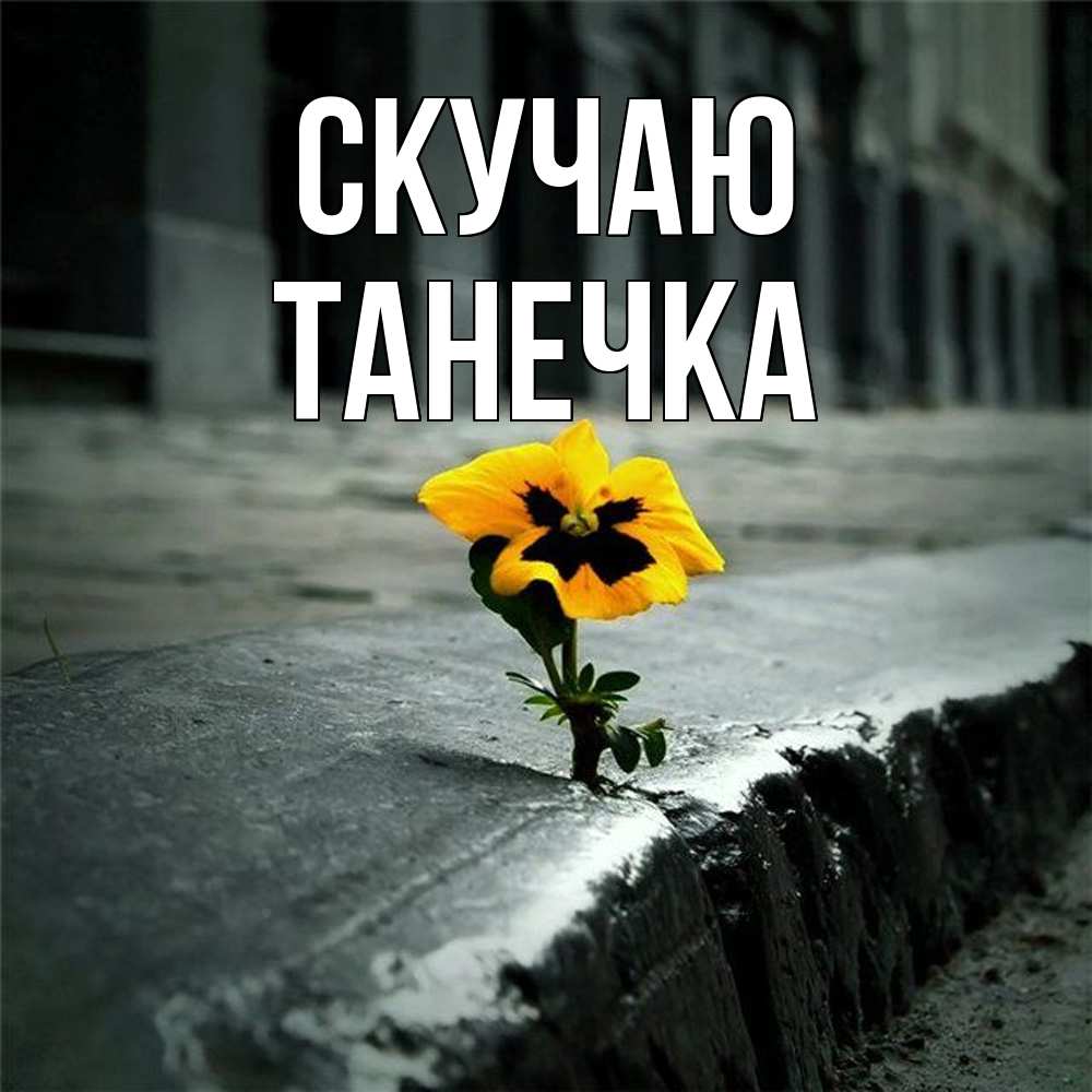 Открытка  с именем. Танечка, Скучаю  