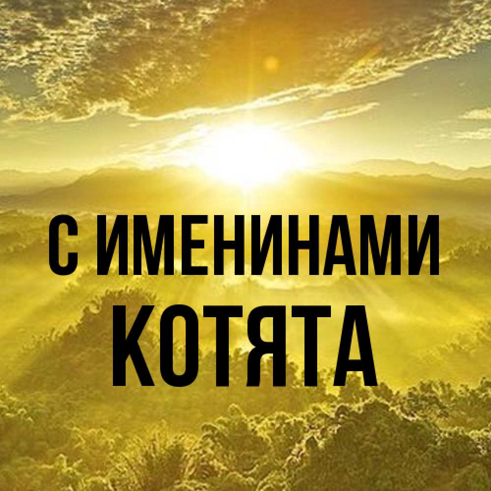 Открытка  с именем. Котята, С именинами  