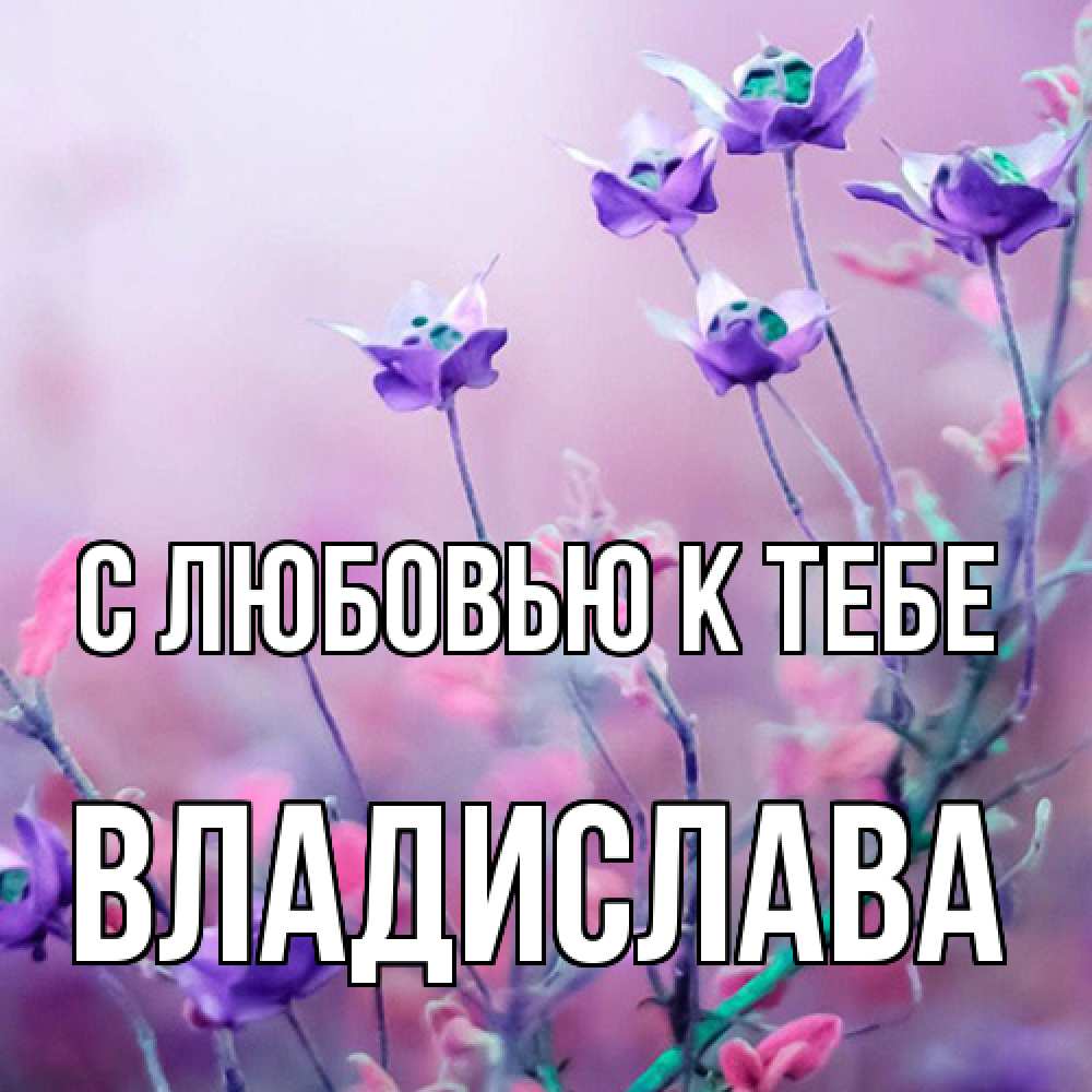 Открытка  с именем. Владислава, С любовью к тебе  