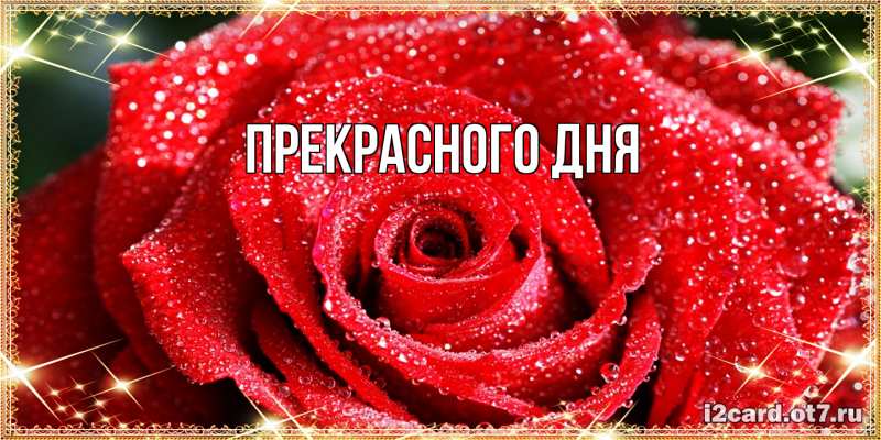 Картинка Прекрасного дня, 