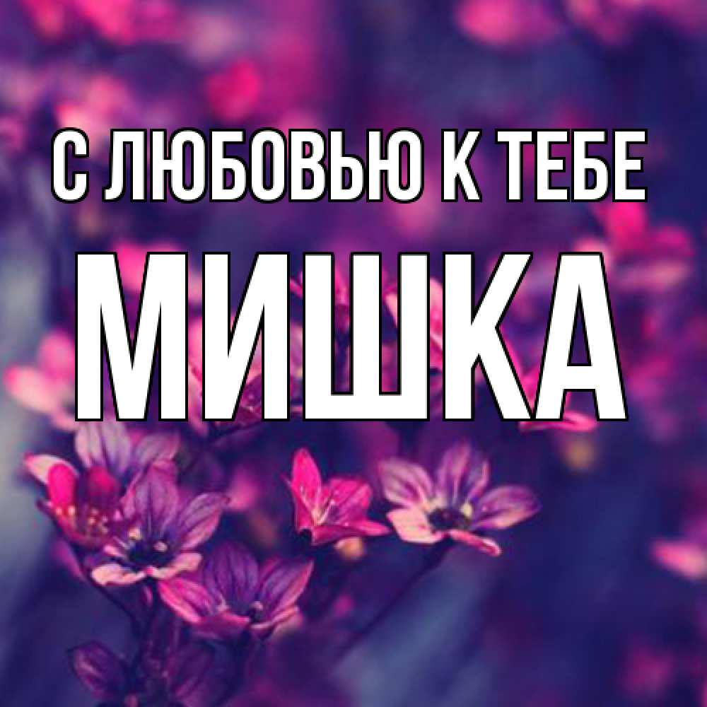 Открытка  с именем. Мишка, С любовью к тебе  