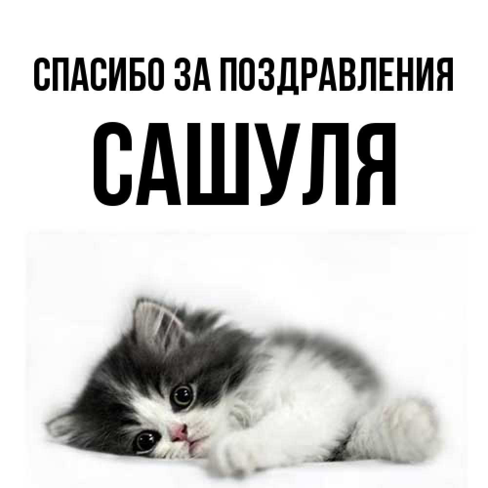 Открытка  с именем. Сашуля, Спасибо за поздравления  