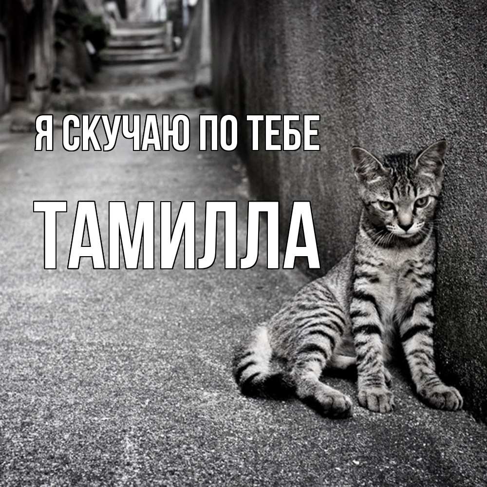 Открытка  с именем. Тамилла, Я скучаю по тебе  