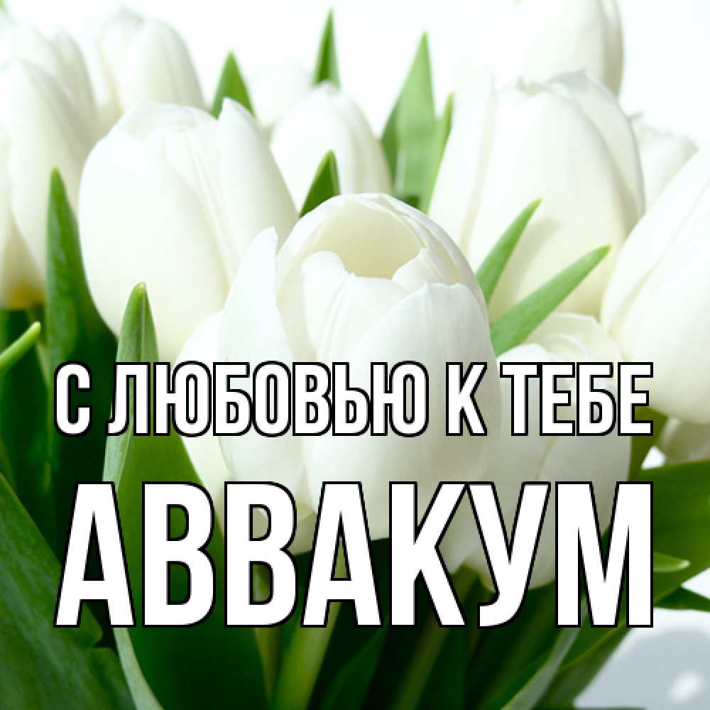 Открытка  с именем. Аввакум, С любовью к тебе  