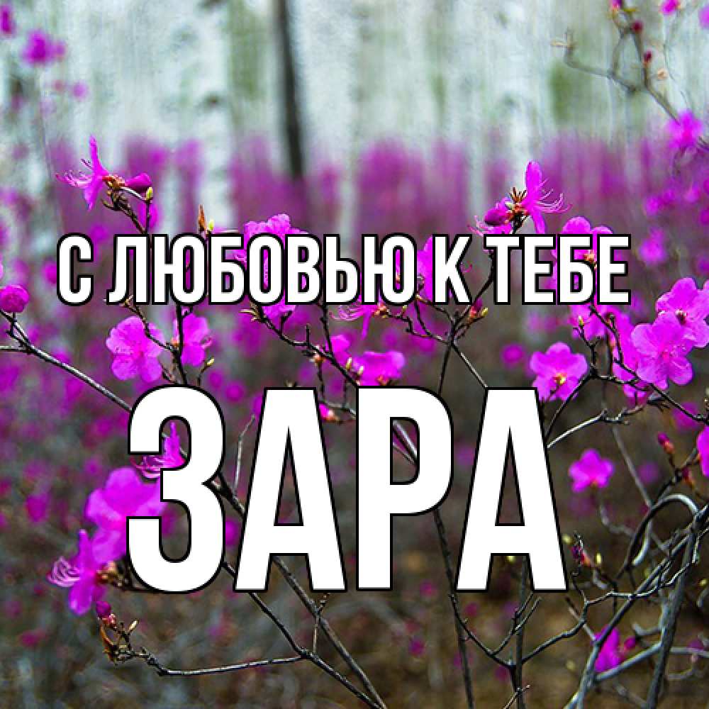 Открытка  с именем. Зара, С любовью к тебе  