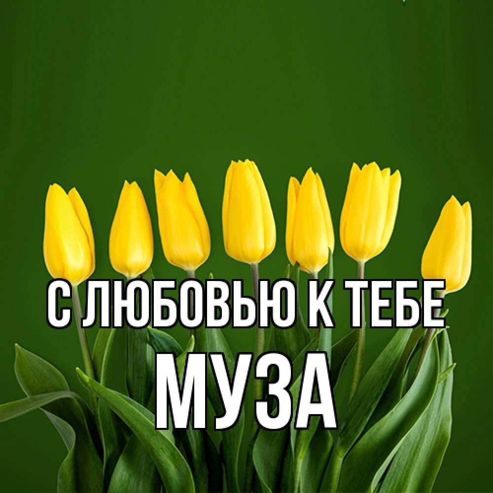 Открытка  с именем. Муза, С любовью к тебе  