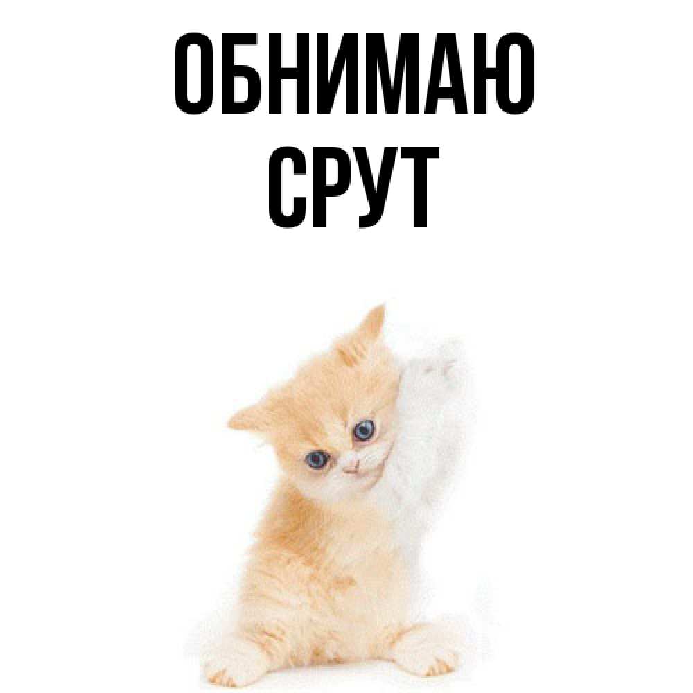 Открытка  с именем. срут, Обнимаю  