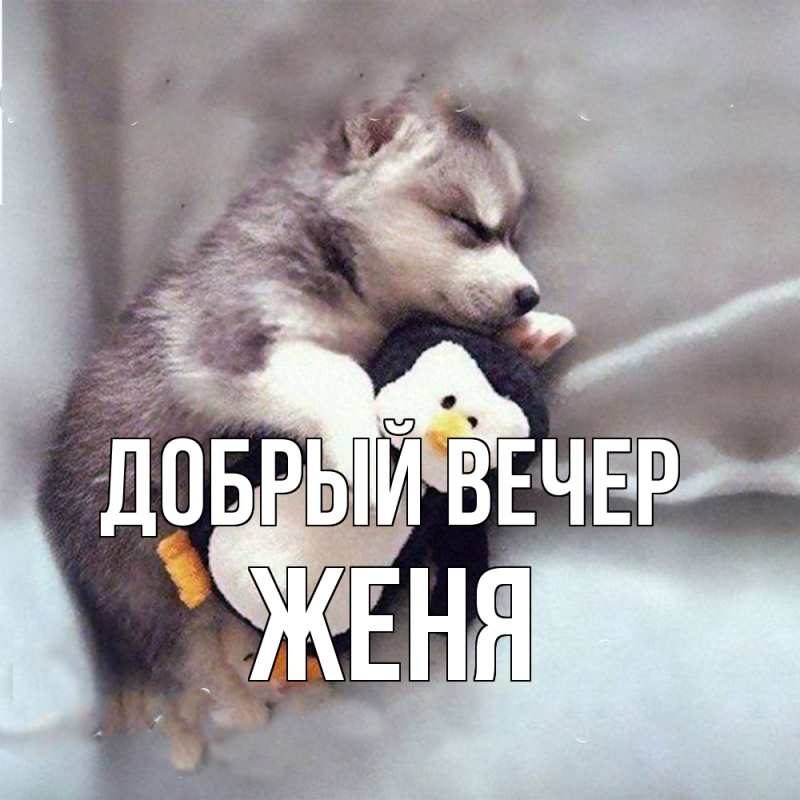 Картинка Добрый вечер, Женя