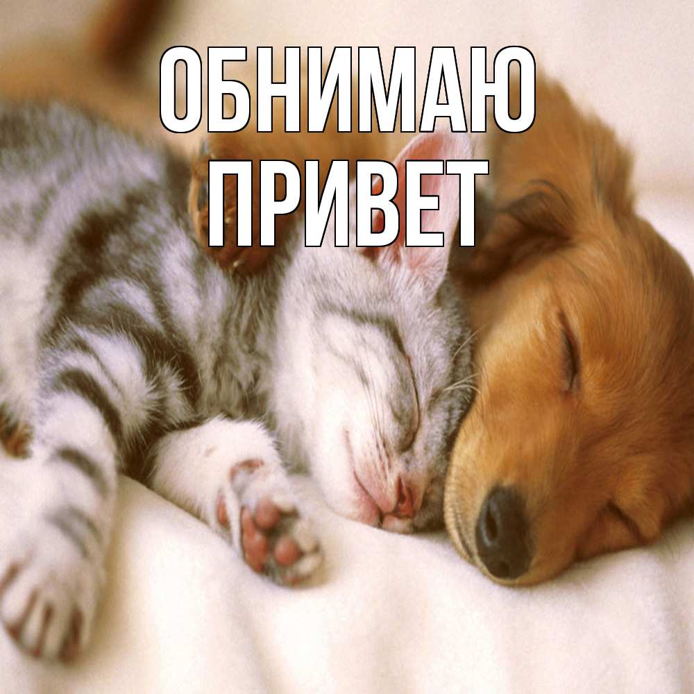Открытка  с именем. Привет, Обнимаю  