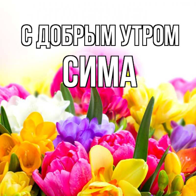 Картинка С добрым утром, Сима