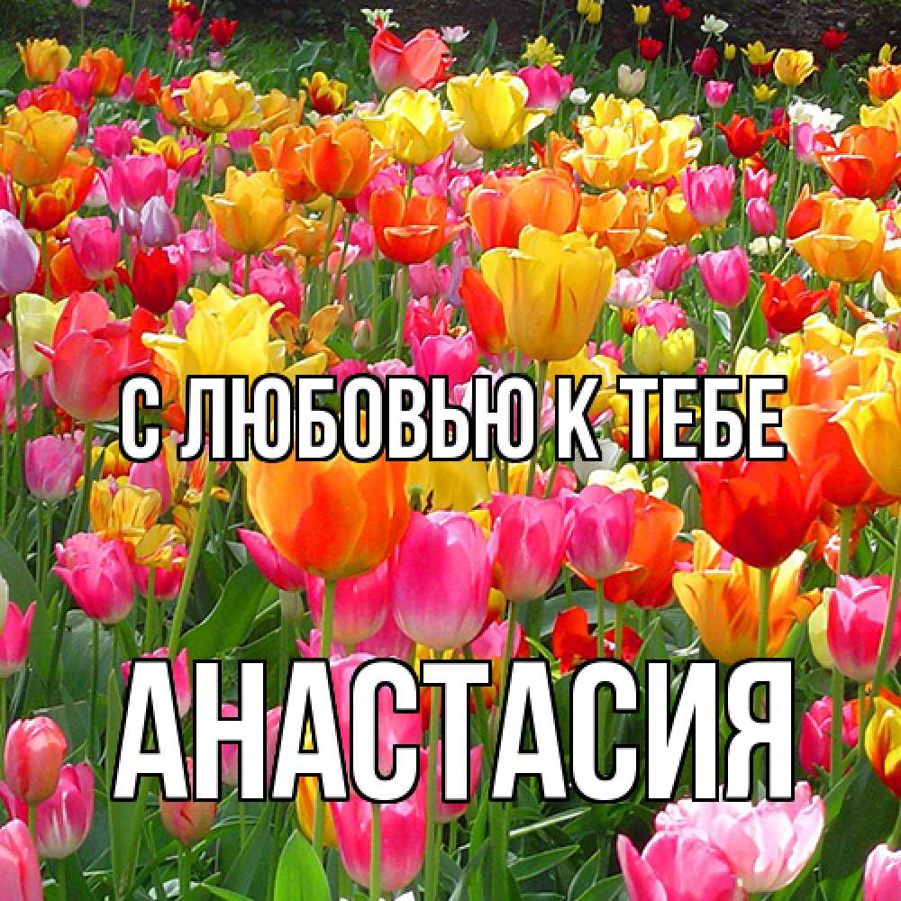 Открытка  с именем. Анастасия, С любовью к тебе  