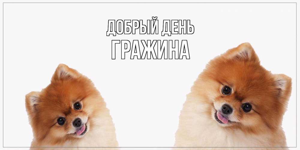 Открытка  с именем. Гражина, Добрый день  