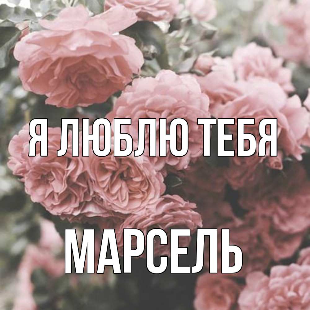 Открытка  с именем. Марсель, Я люблю тебя  