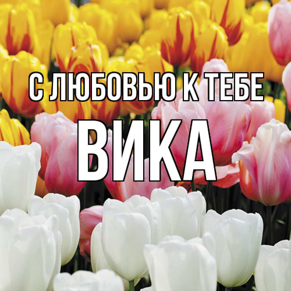 Открытка  с именем. Вика, С любовью к тебе  