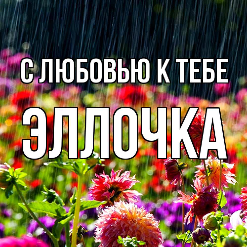 Открытка  с именем. Эллочка, С любовью к тебе  