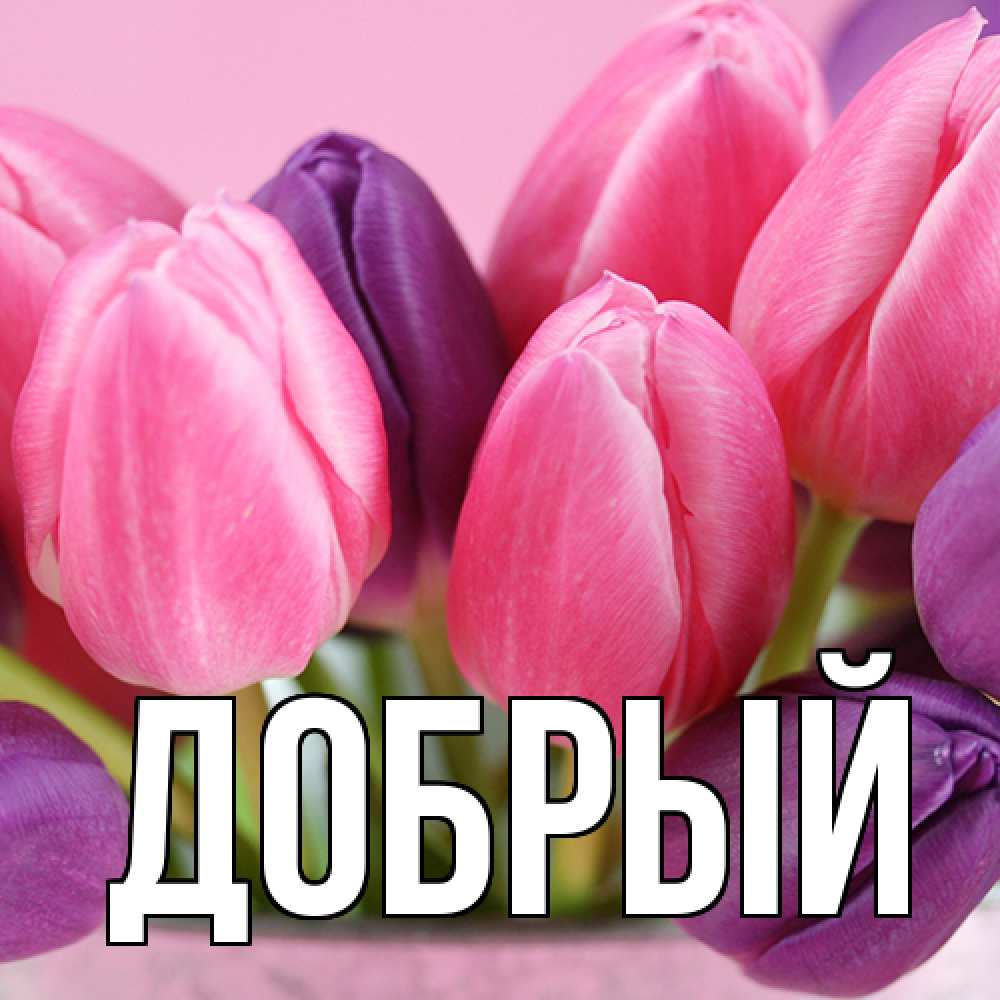 Открытка  с именем. Добрый, Главная  
