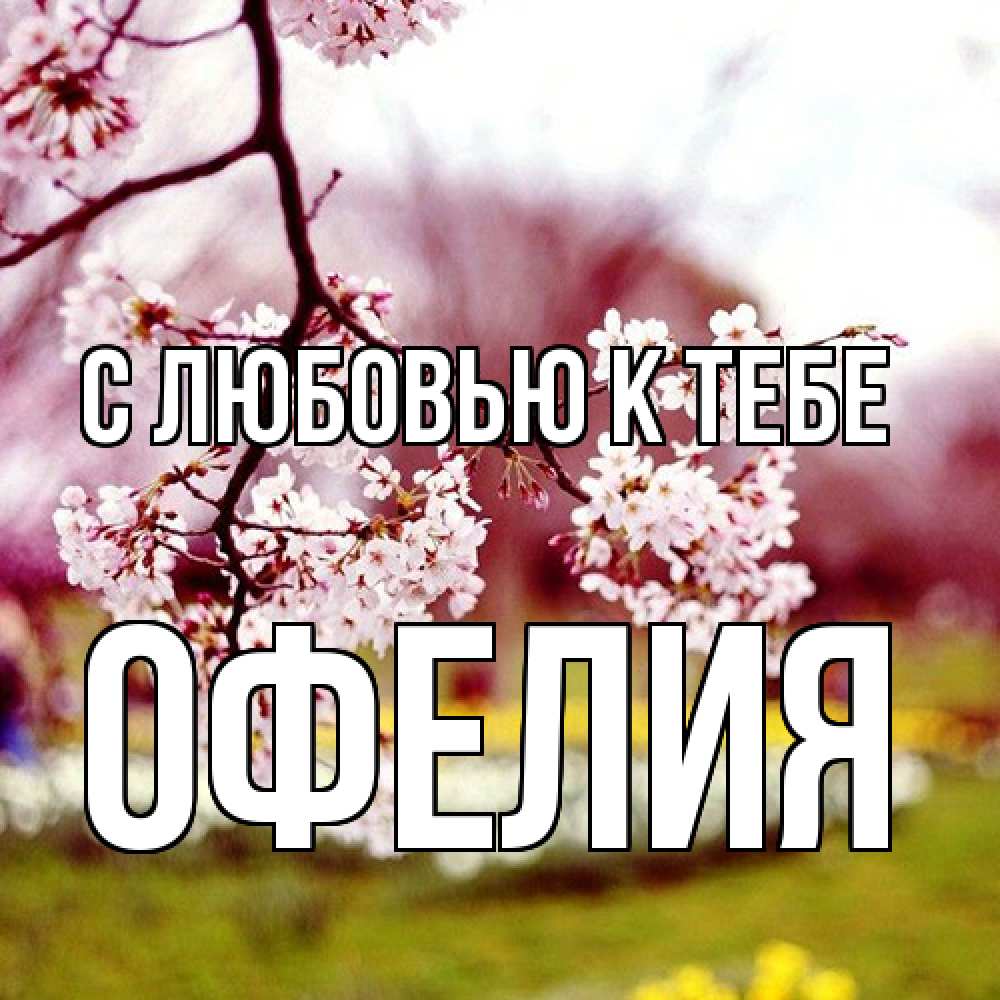 Открытка  с именем. Офелия, С любовью к тебе  