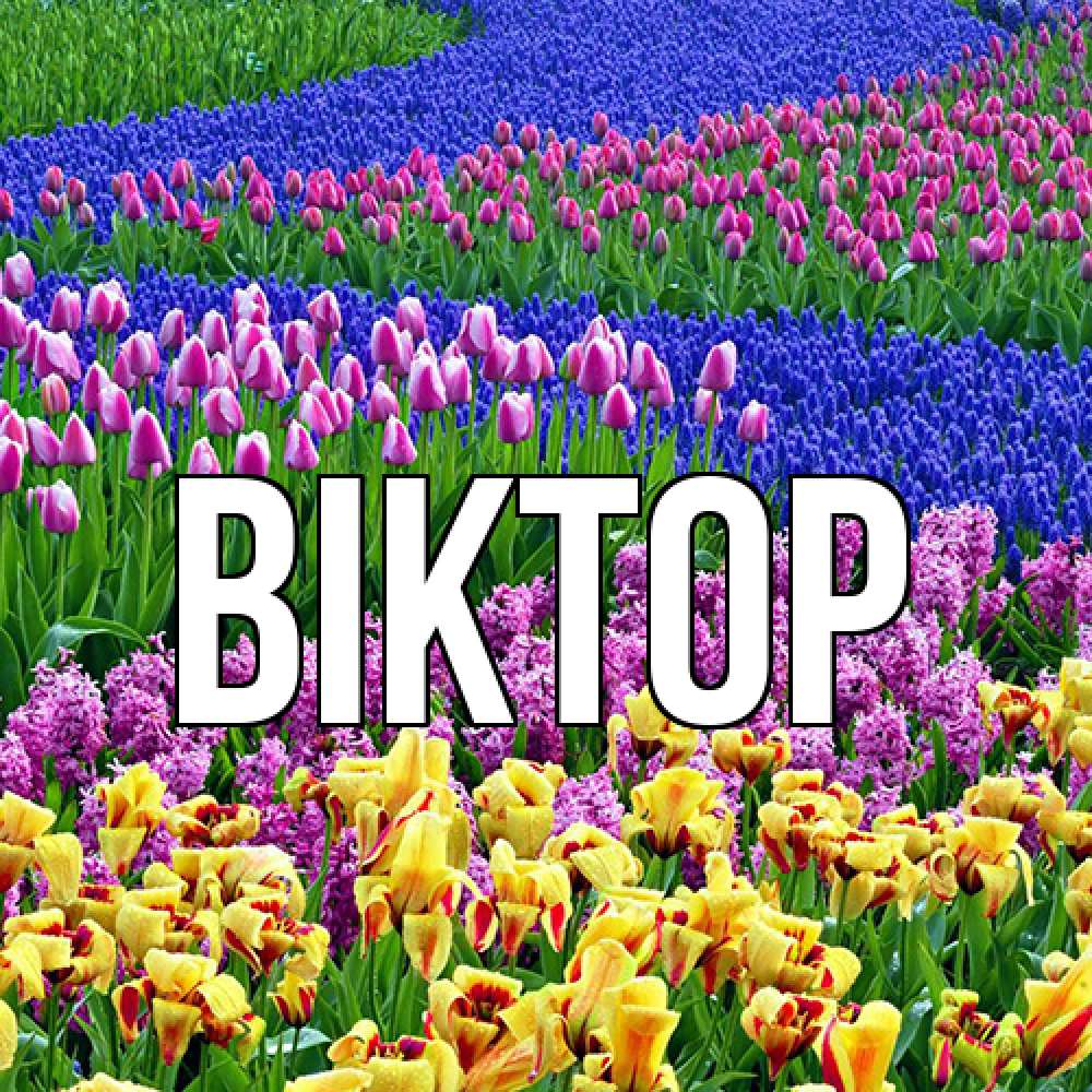 Открытка  с именем. Віктор, Главная  