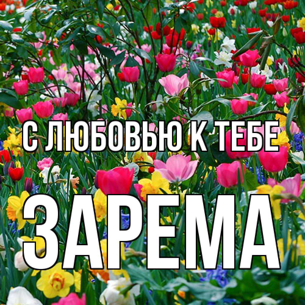 Открытка  с именем. Зарема, С любовью к тебе  