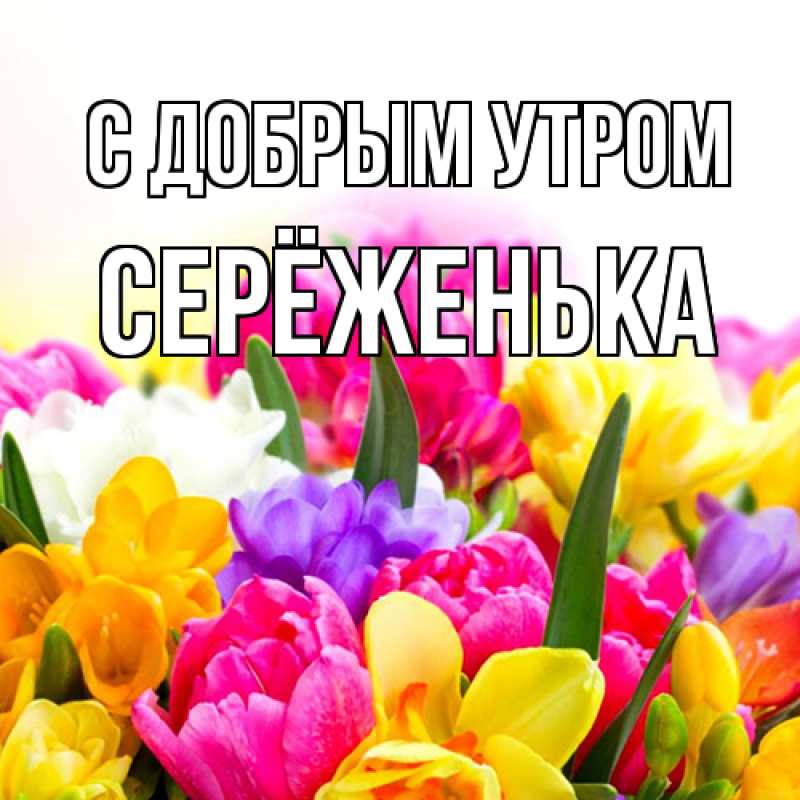 Открытка с именем, Серёженька, С добрым утром