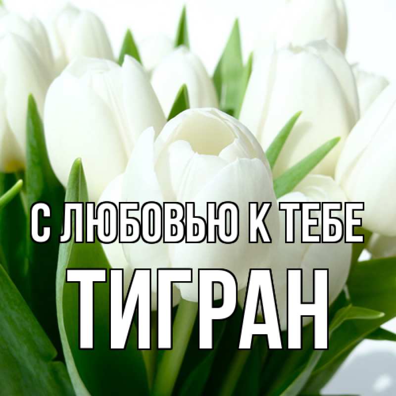 Картинка С любовью к тебе, Тигран