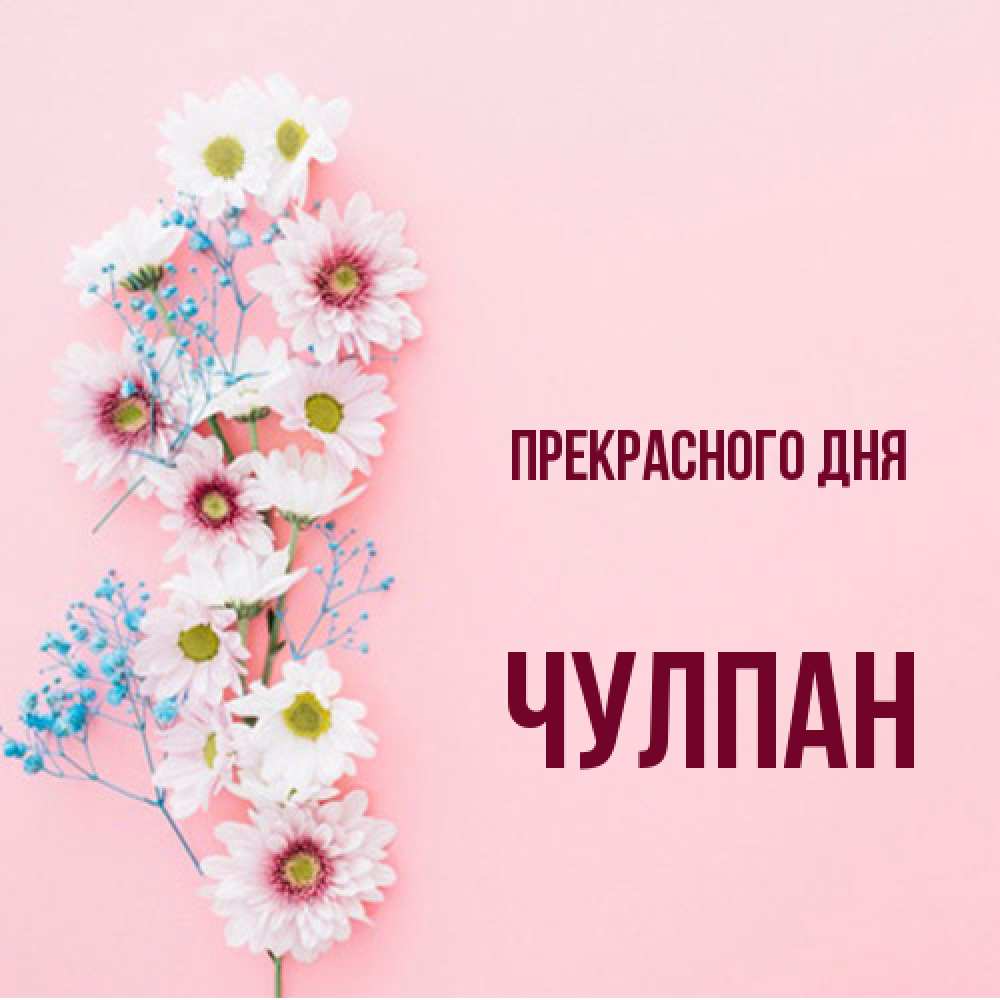 Открытка  с именем. Чулпан, Прекрасного дня  