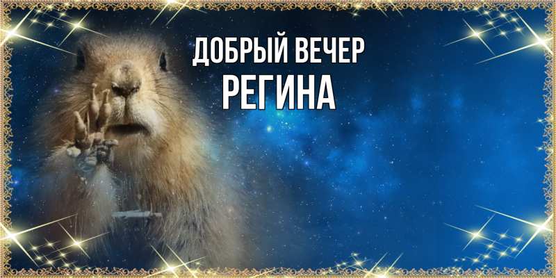 Картинка Добрый вечер, Регина