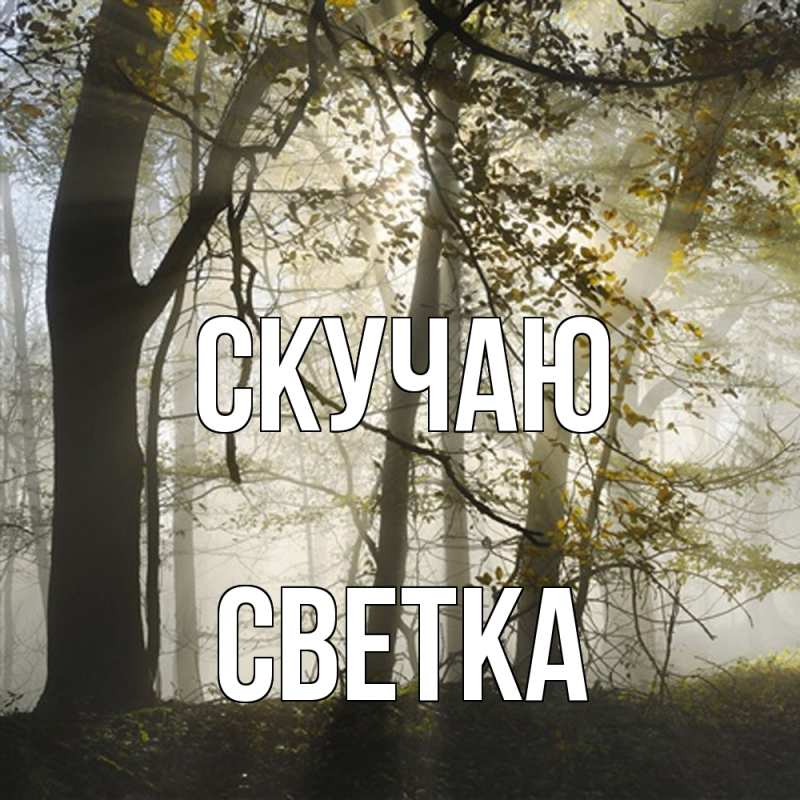 Картинка Скучаю, Светка
