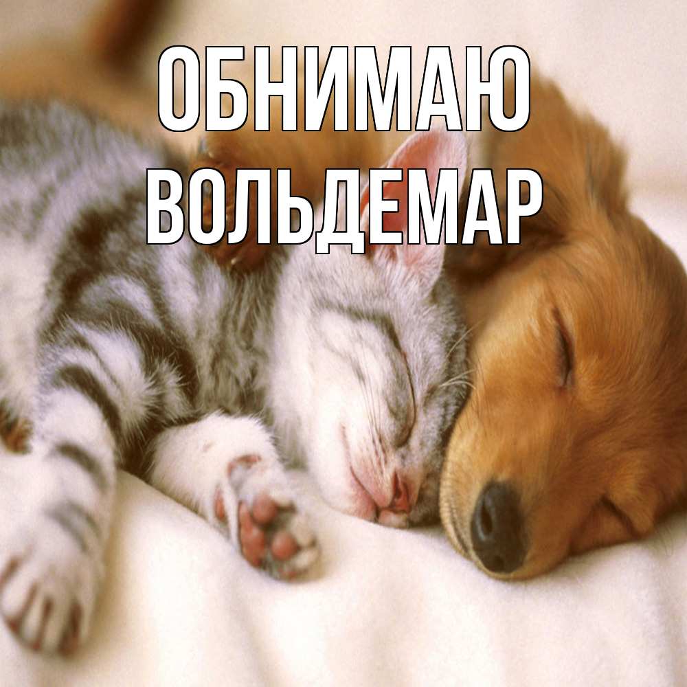 Открытка  с именем. Вольдемар, Обнимаю  